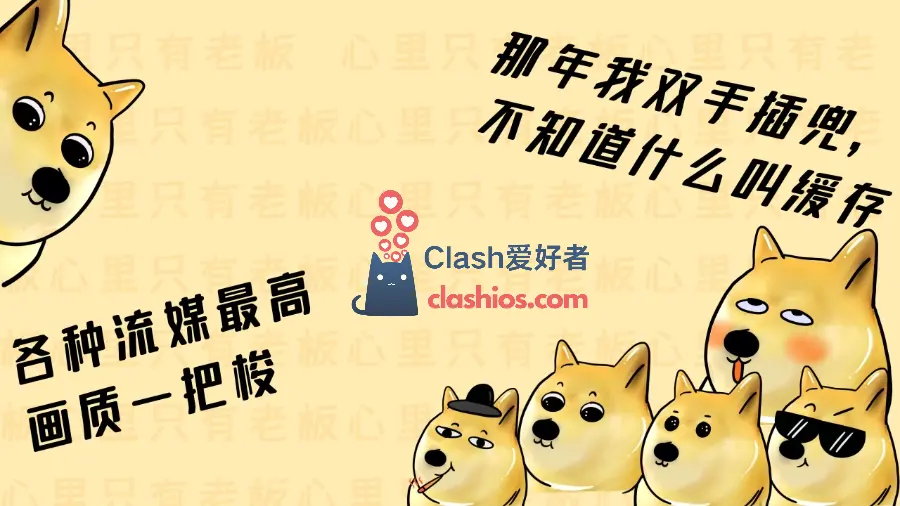 泡泡狗机场官网 泡泡狗机场官网